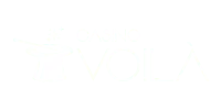 Casino Voila logo