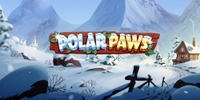 Polar Paws