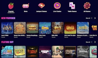 Berriez New Game Providers