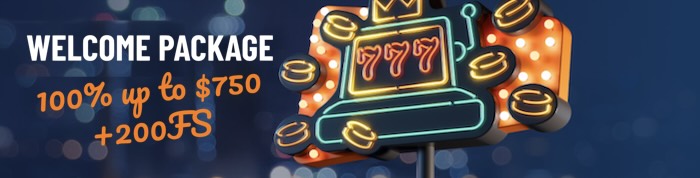 Spin247 Casino Bonus