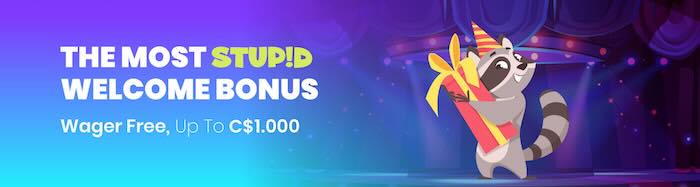 Stupid Casino Bonus