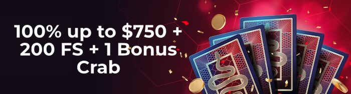 ViperWin Casino Bonus
