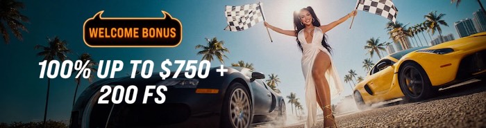 WildHub Bonus