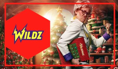 Wildz Advent Calendar